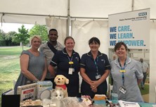 Dementia and frailty team