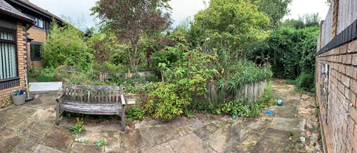 Picture of a garden