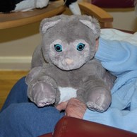Image of the robotic cats to support patients