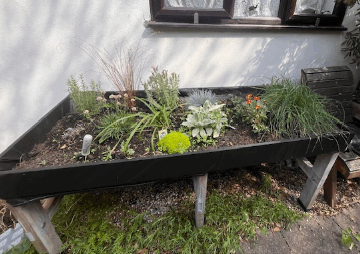 Part of a garden with plants.