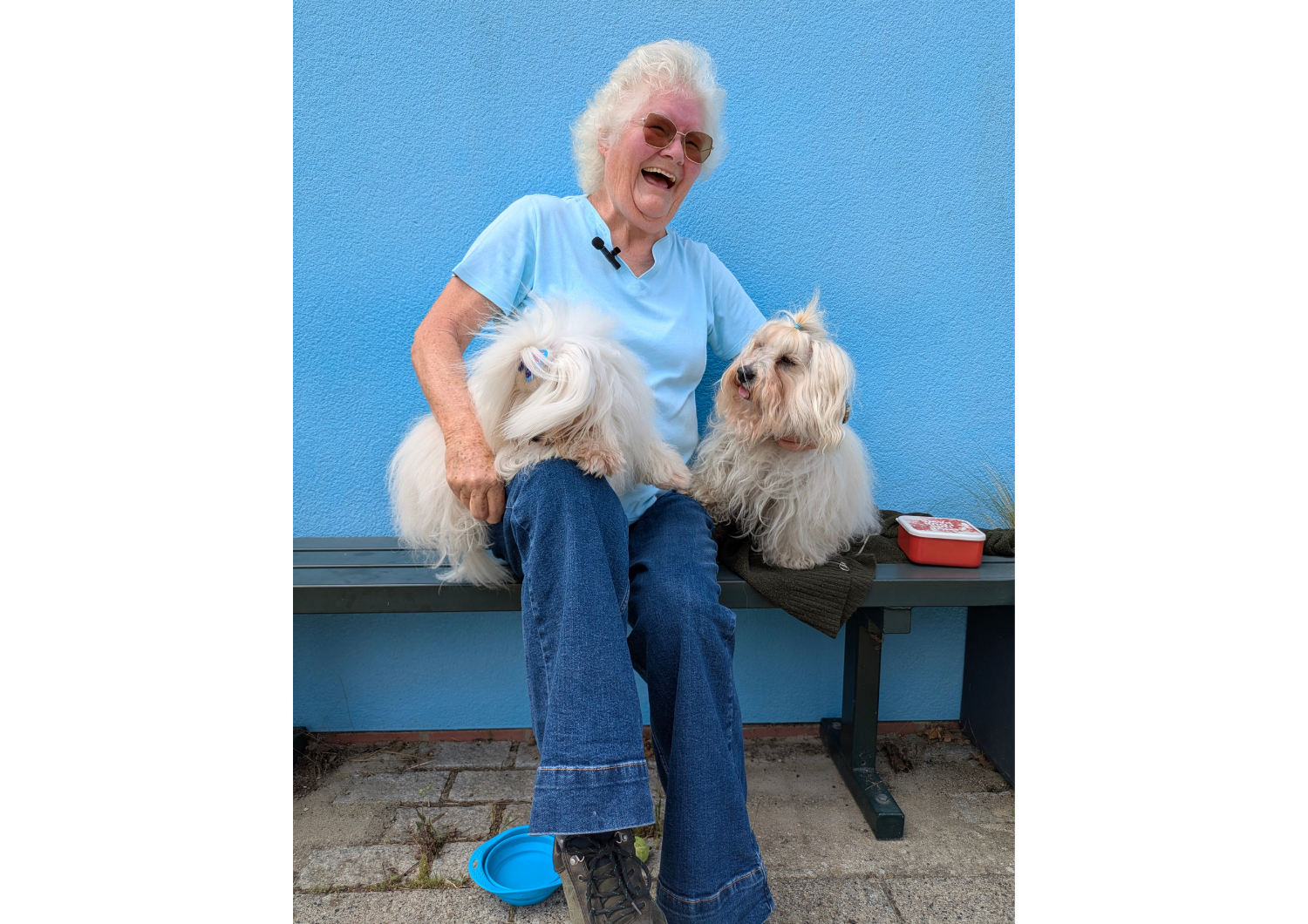 A laughing woman sitting on a bench in front of a blue wall with two little white dogs on her lap