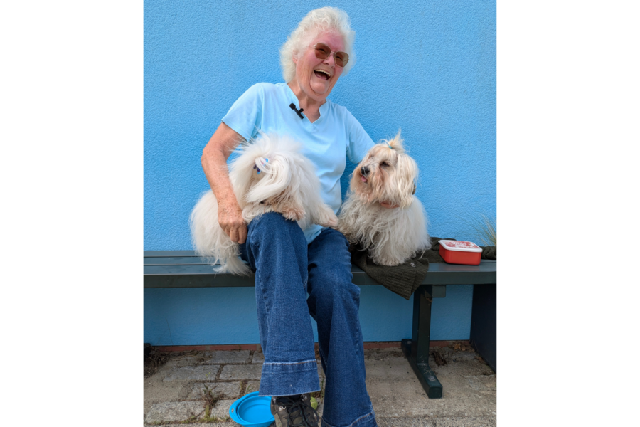 A laughing woman sitting on a bench in front of a blue wall with two little white dogs on her lap