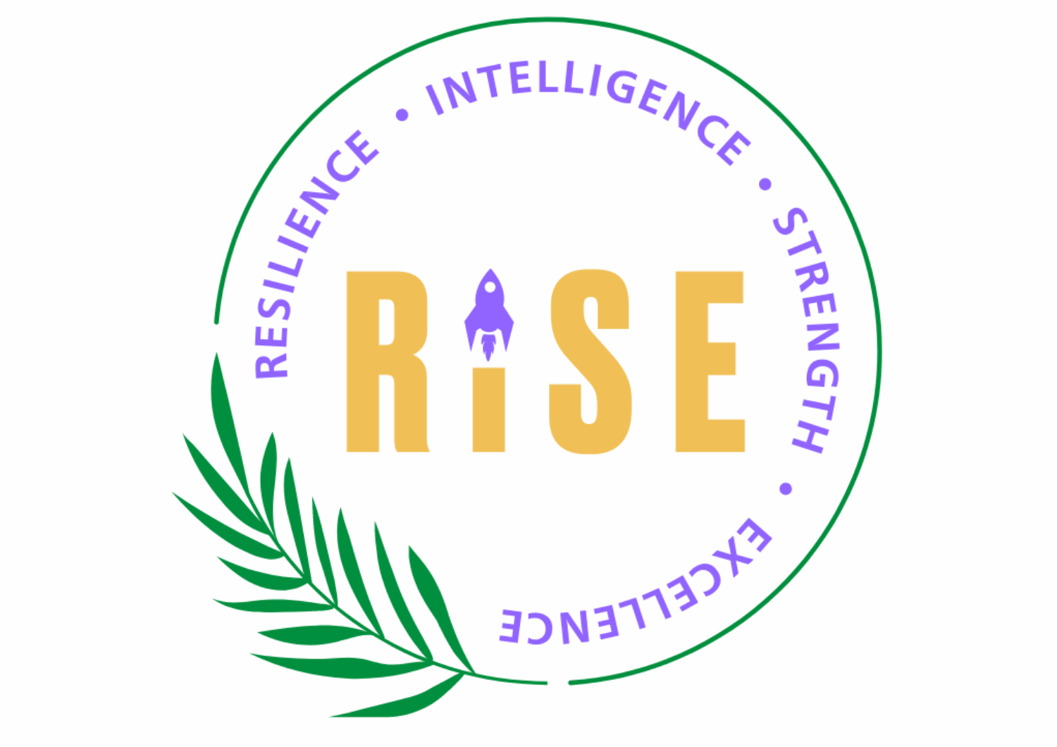Logo of the RISE programme