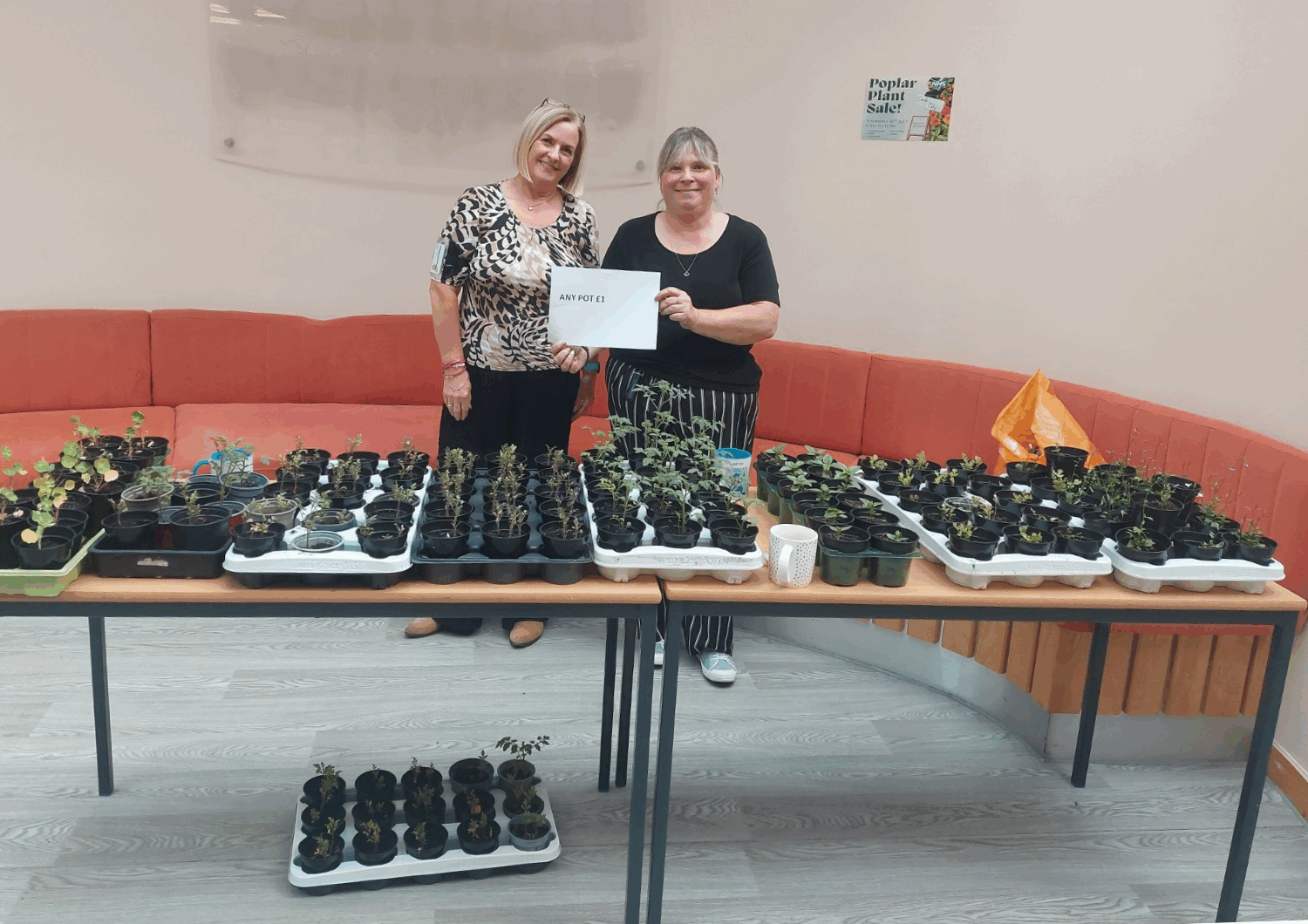 Poplar ward staff holding a plant sale.