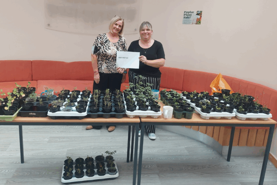 Poplar ward staff holding a plant sale.